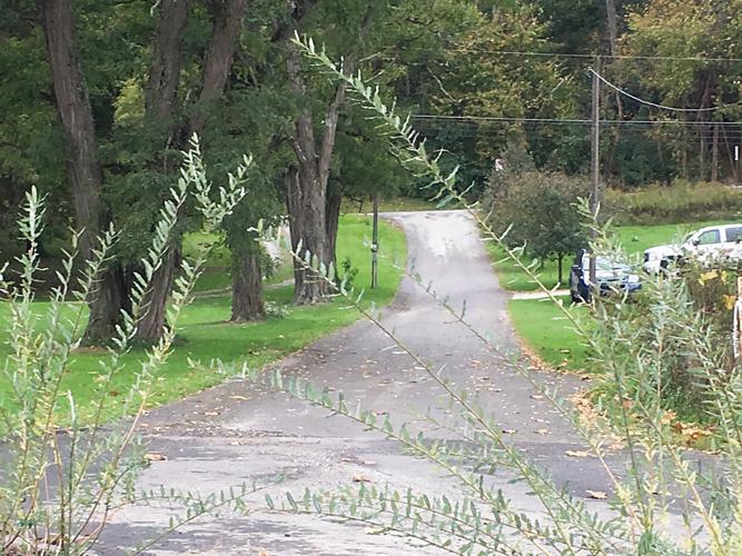 The Park Way Enon Valley additions going one step at a time News