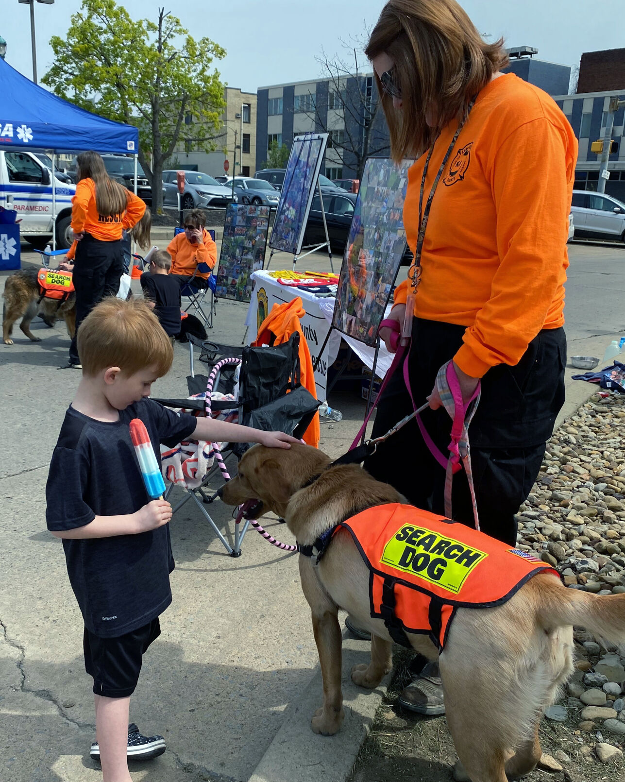 Rescue dog
