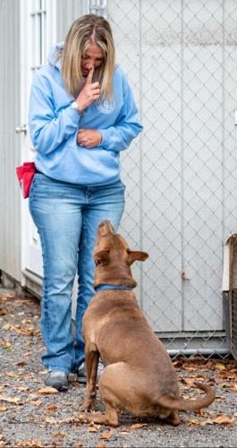 Trainer prepares animals for adoption | Lifestyles | ncnewsonline.com