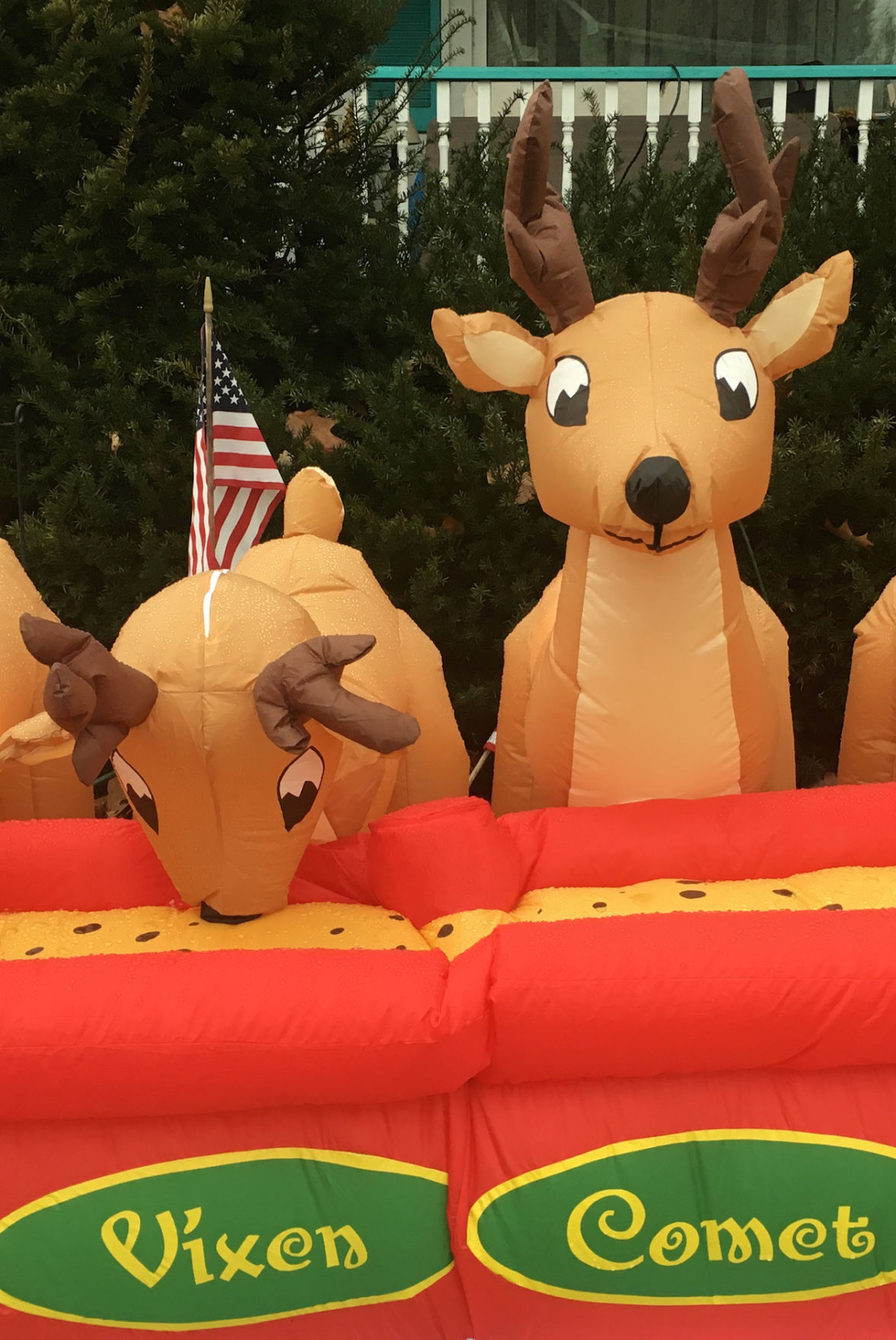 40year Christmas display AWOL in 2017 News