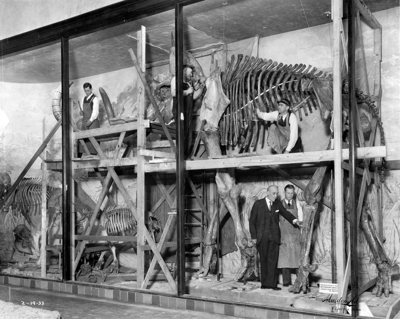 Nebraska fossil chronicles: Inside the vaults of Morrill Hall ...