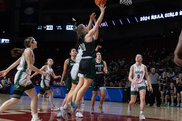 PHOTO HowellsDodge survives against Sandhills/Thedford at state