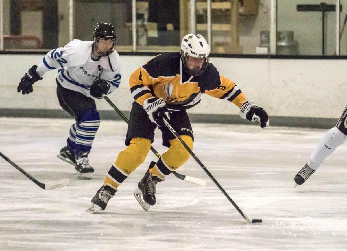 Newark High School ice hockey program skates under the radar High