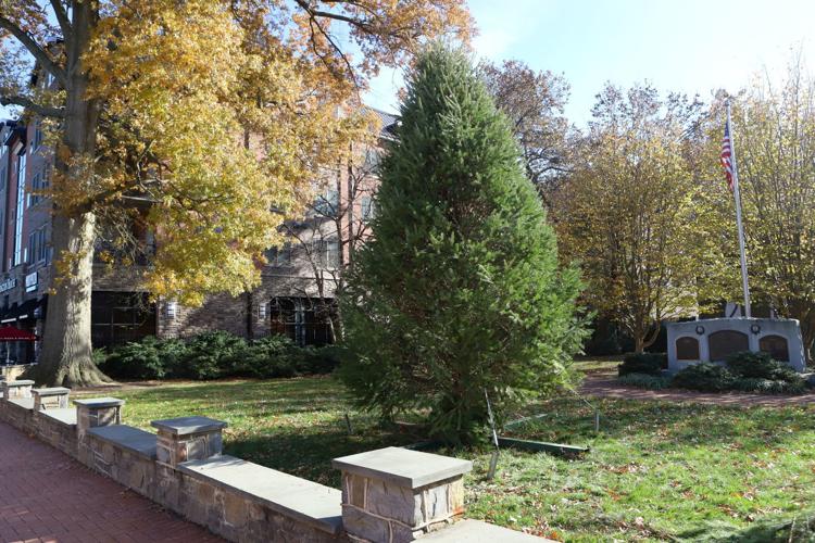 It's beginning to look a lot like Christmas in downtown Newark News