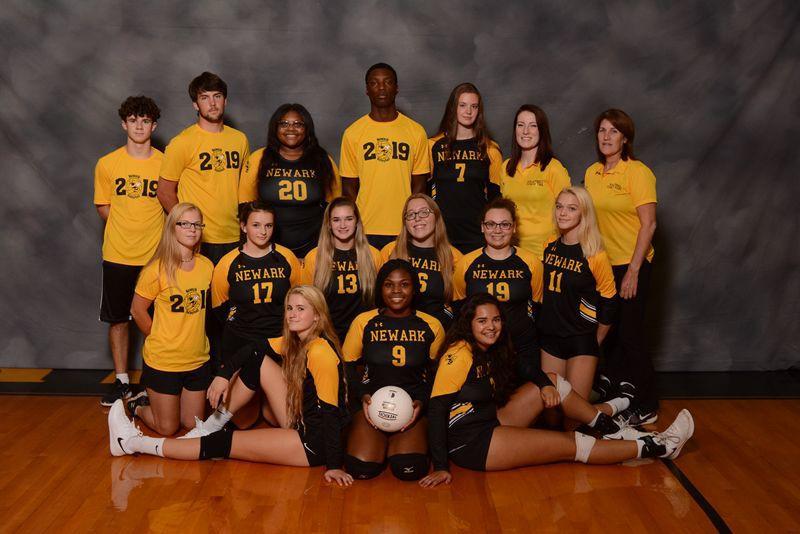 Newark volleyball team enjoying success High School