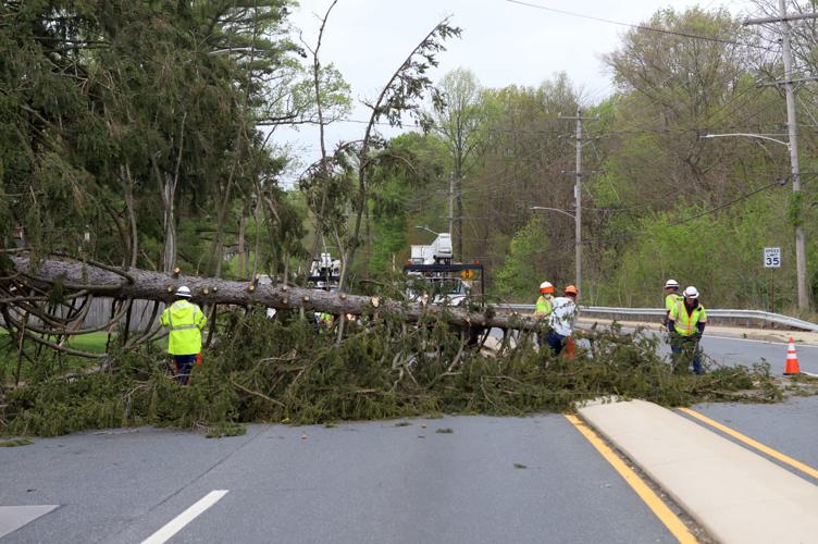High wind brings down trees and power lines in Newark | News ...