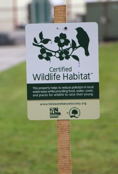 Backyard habitat tour returns Saturday | News | newarkpostonline.com