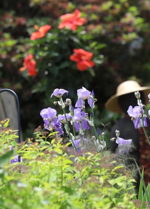 Newark Garden Tour