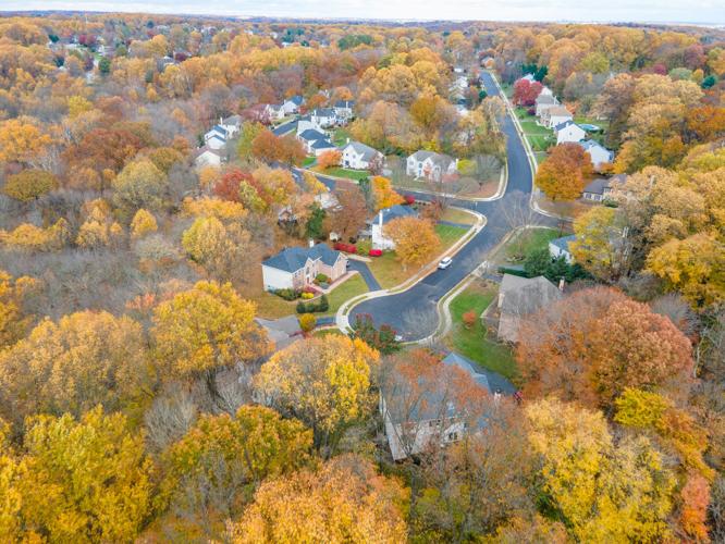 Photo gallery Fall foliage in Newark News Gallery