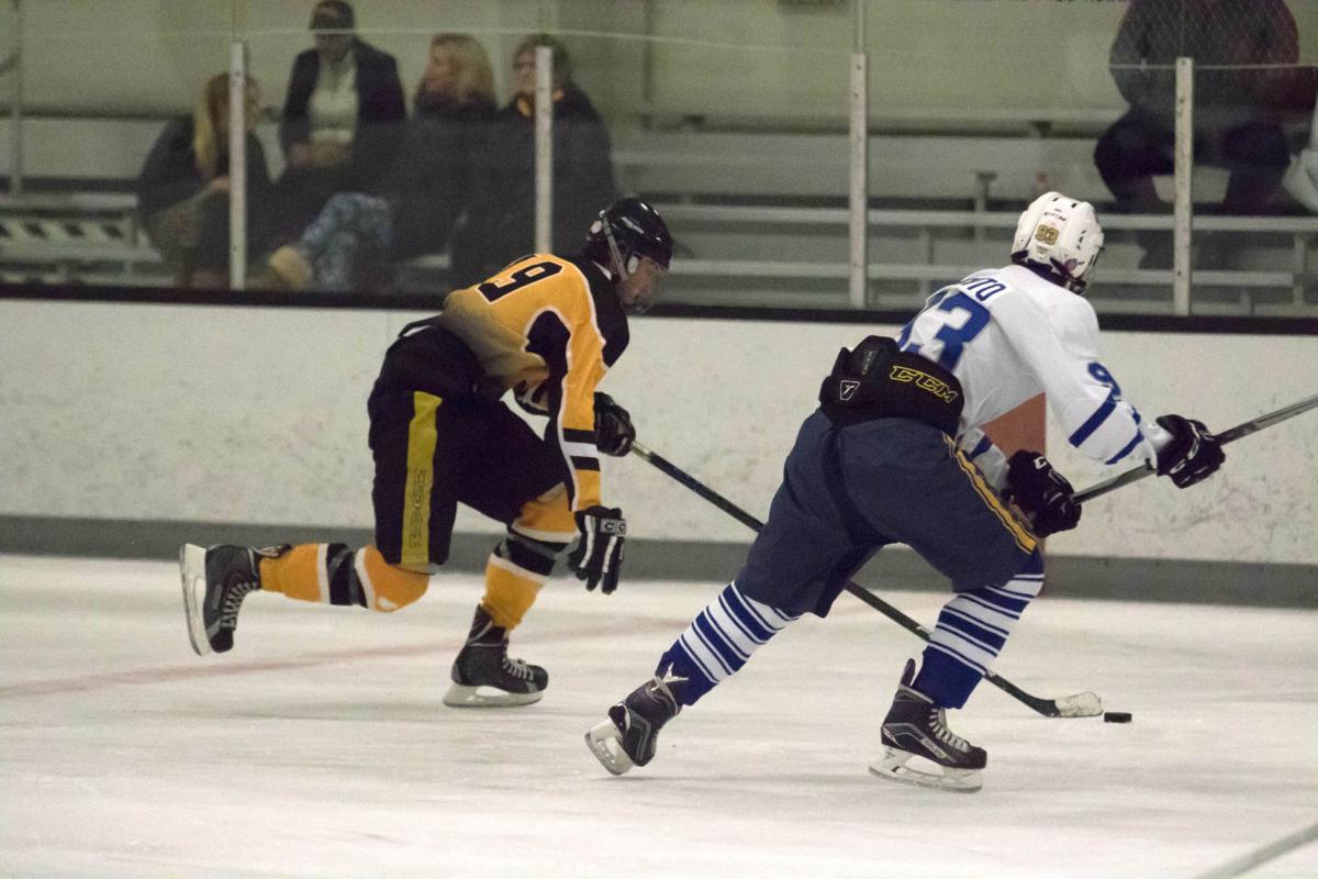 Newark High School ice hockey program skates under the radar High
