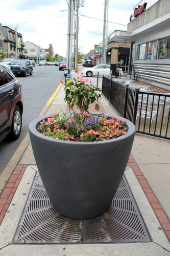 City installs planters on Main Street to replace vandalized trees ...