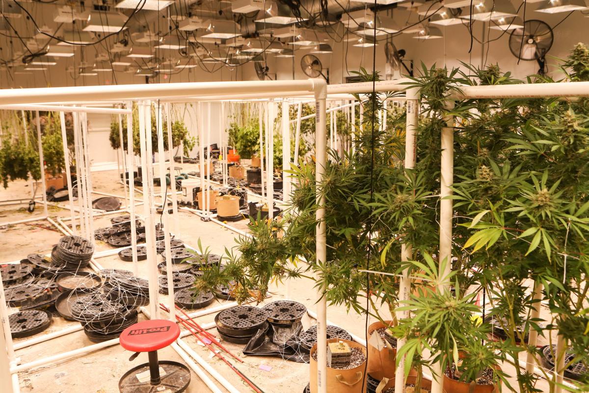 First medical marijuana dispensary in Newark opens News