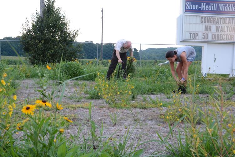 ShueMedill Middle School turns field into wildflower meadow News