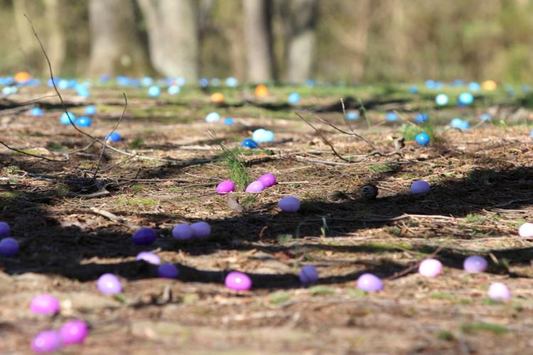 Hundreds attend Newark's annual Easter egg hunt | News ...