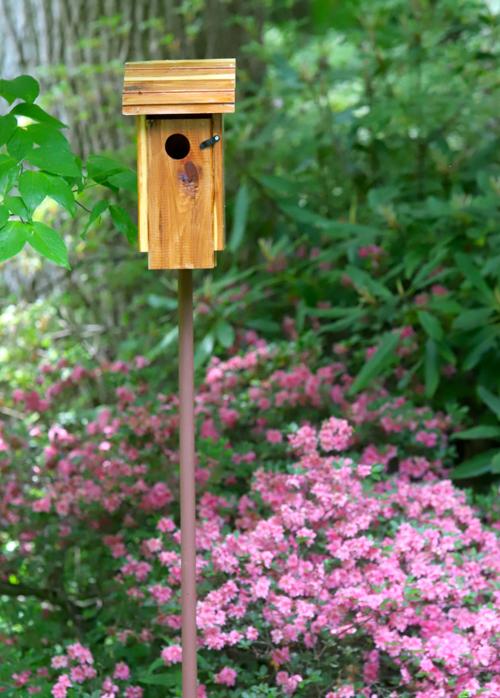 Newark Garden Tour