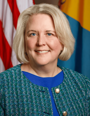 Election 2026: Gorman, Cavanaugh face off in District 8 Senate race