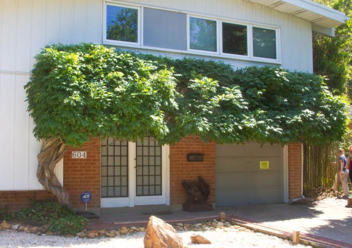 Newark Garden Tour News Gallery