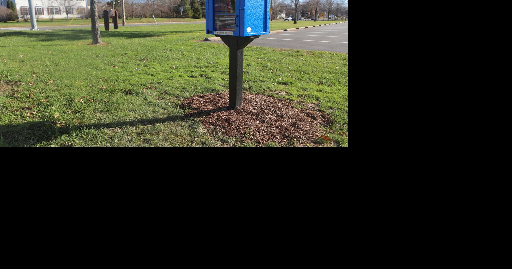 TNP holding book drive to stock Little Free Libraries around Newark ...