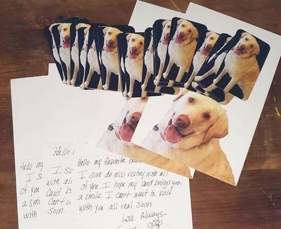 PAWS for People