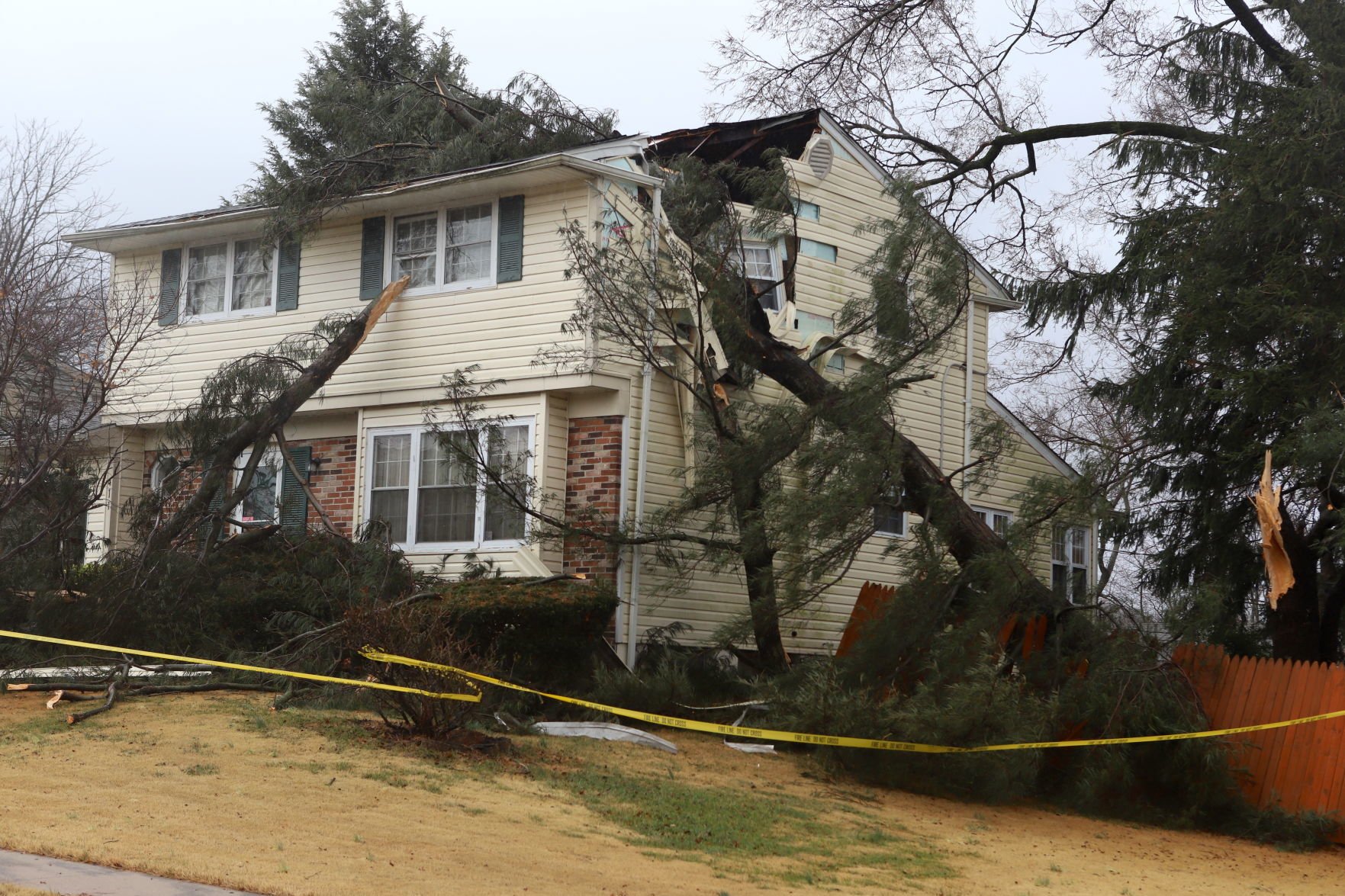 Storm Brings Down Trees, Causes Power Outages In Newark | News ...