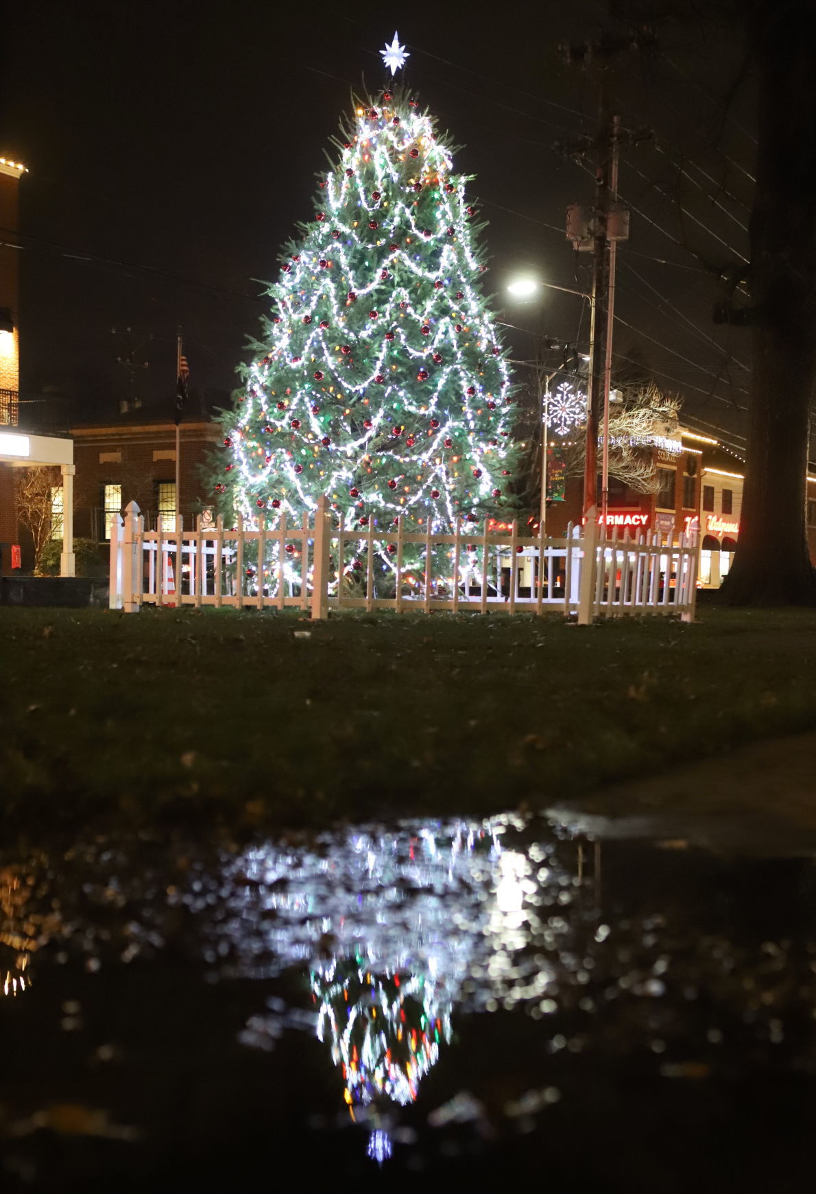 Photo gallery Christmastime in Newark News