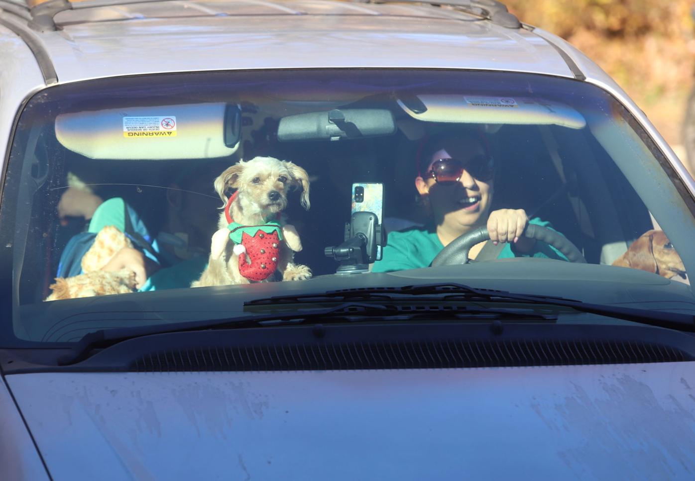 Newark Christmas Parade 2022 Christmas Parade Cheers Up Patients At Exceptional Care For Children | News  | Newarkpostonline.com