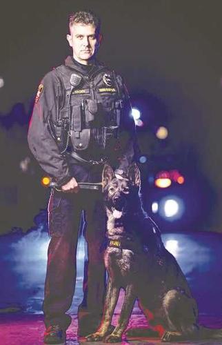 do police dogs have ranks
