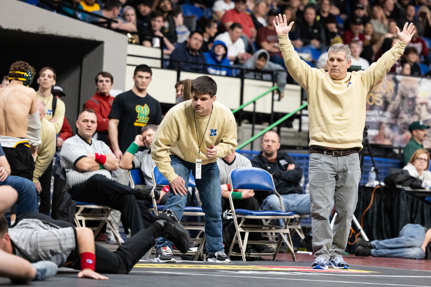 Newberg Wrestling Reigns Supreme: Tigers Win Team Title, Crown Four ...