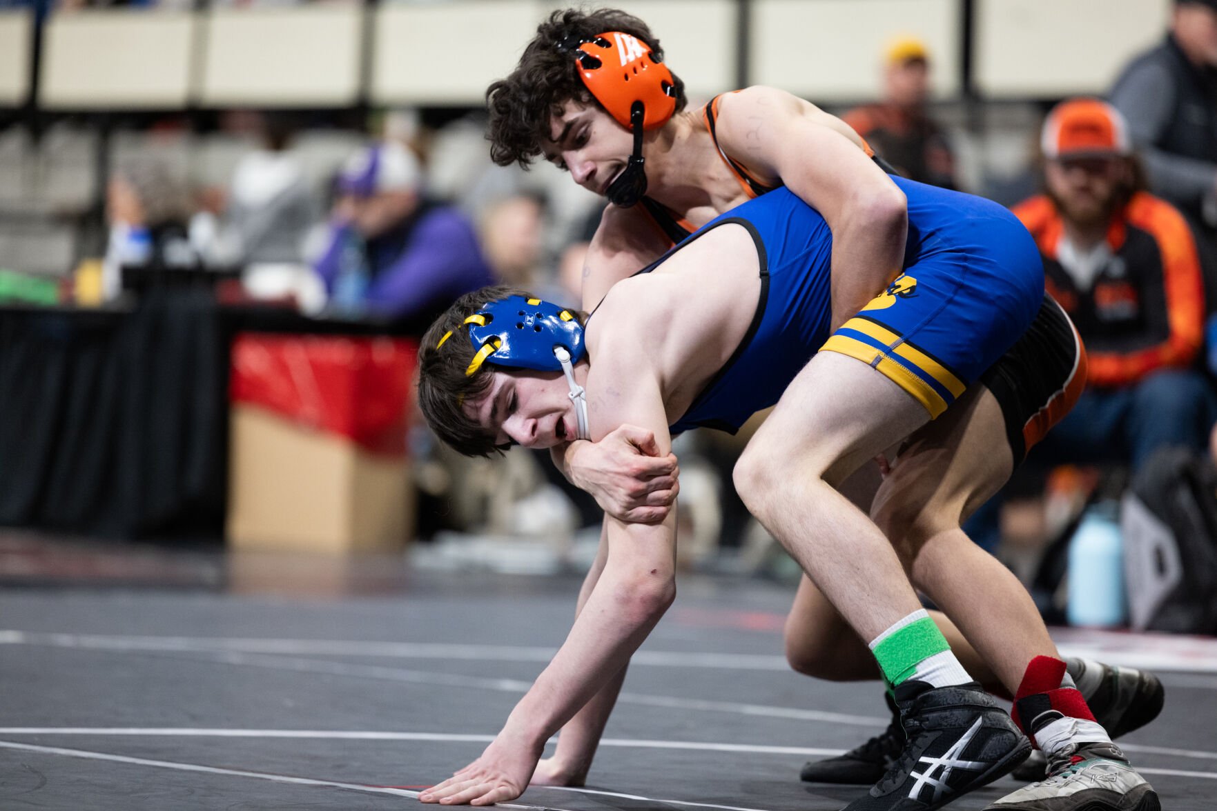 Newberg Wrestling Reigns Supreme: Tigers Win Team Title, Crown Four ...