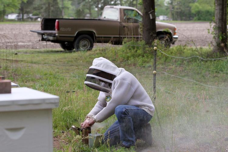 PHOTOS Turkey Quarter Creek Apiary Local News