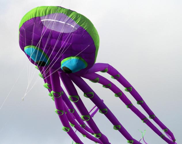 PHOTOS Go Fly a Kite Local News