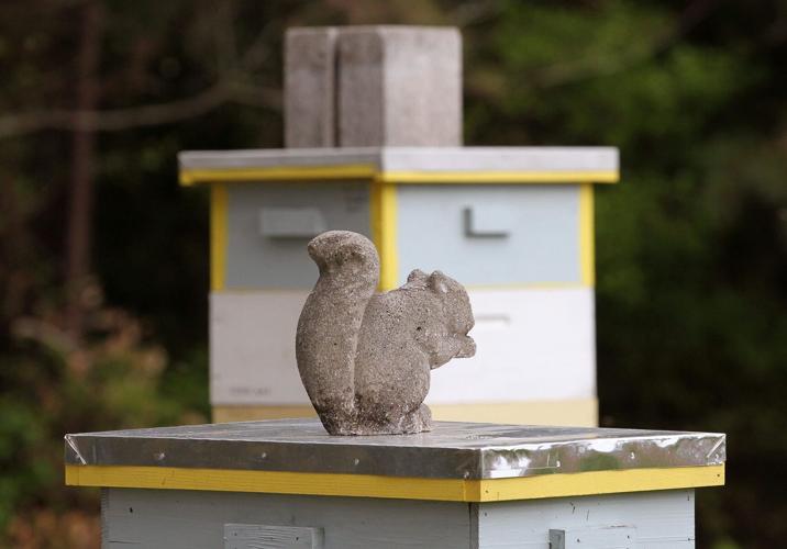 PHOTOS Turkey Quarter Creek Apiary Local News