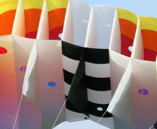 PHOTOS Go Fly a Kite Local News