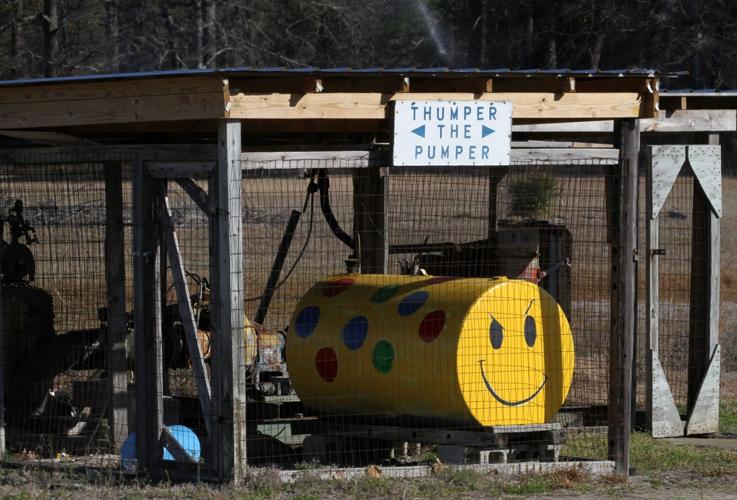 PHOTOS Blueberry Bushes Frost Protection Features