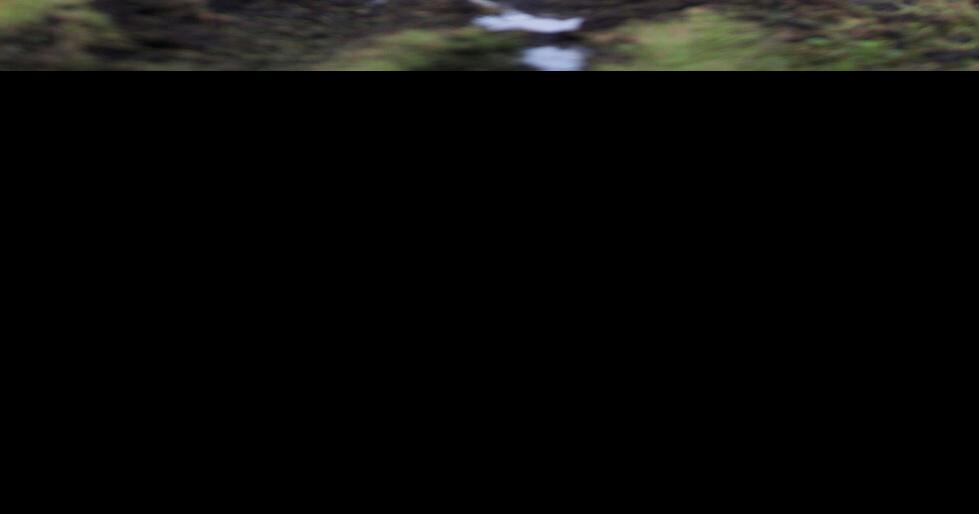 Truck overturns on Old Vanceboro Rd Local News