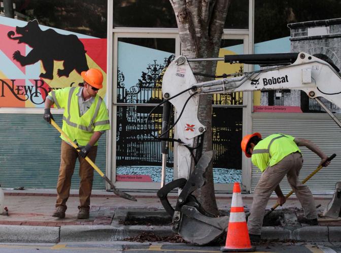 PHOTOS City Works Tree Grates Upgrade Local News