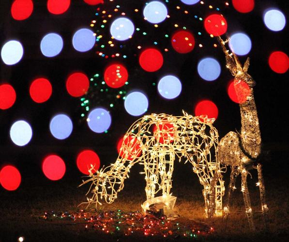 PHOTOS Enchanting Christmas Lights of Canterbury Entertainment