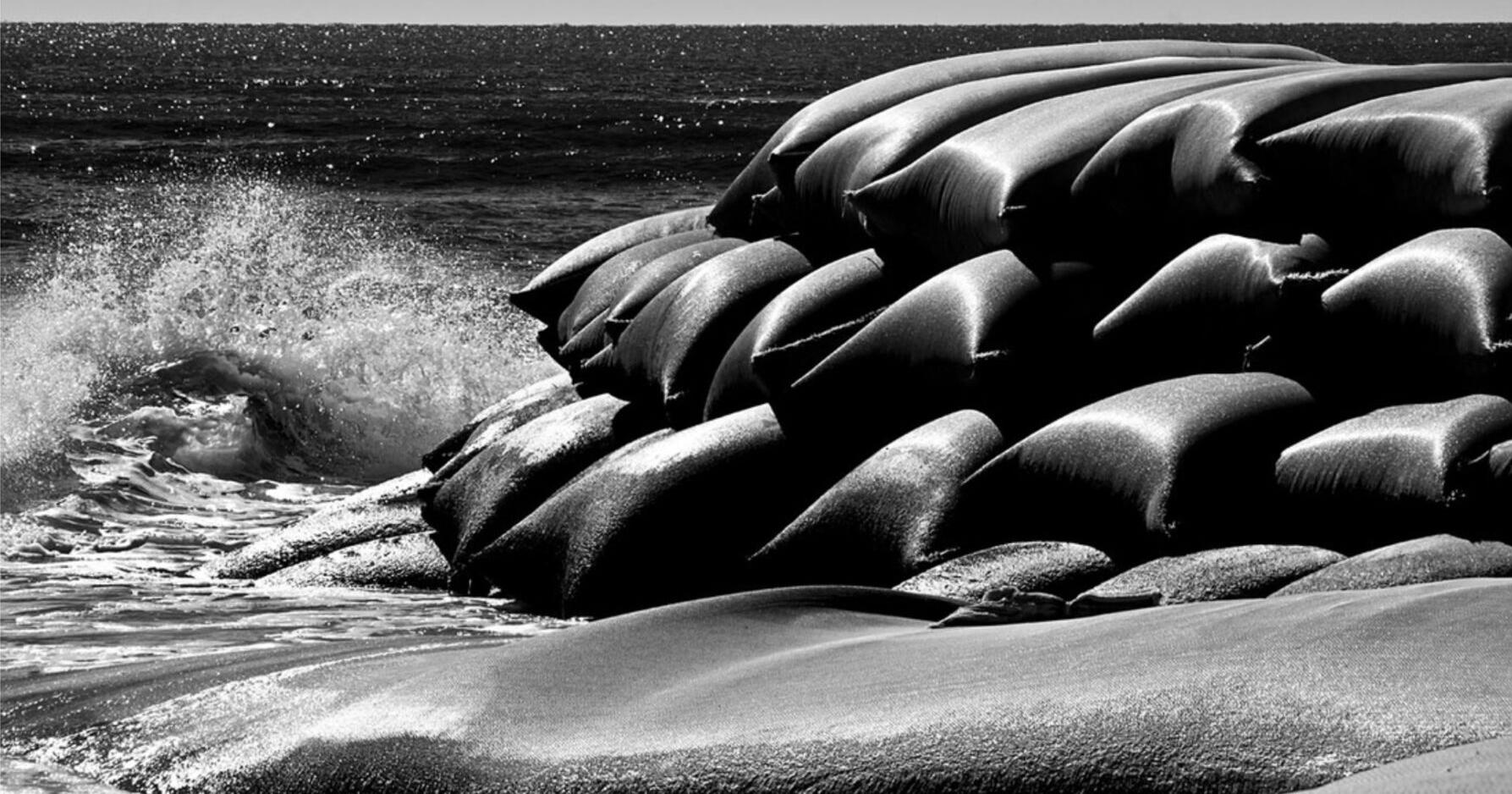 Coastal Photo Club announces annual Spring Major Competition, family-friendly event, open to public - Vimarsana News