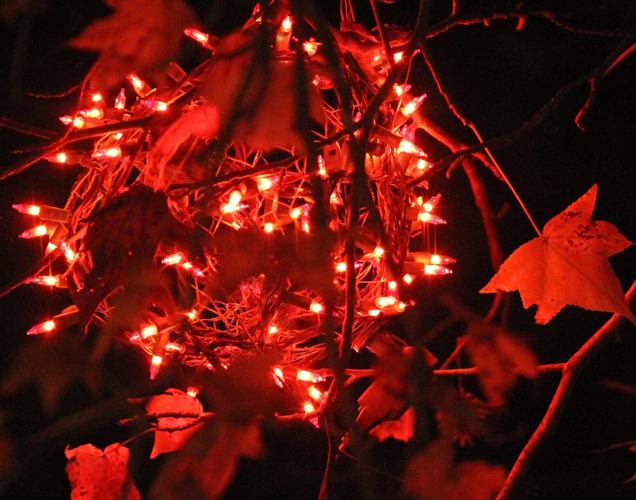 PHOTOS Enchanting Christmas Lights of Canterbury Entertainment