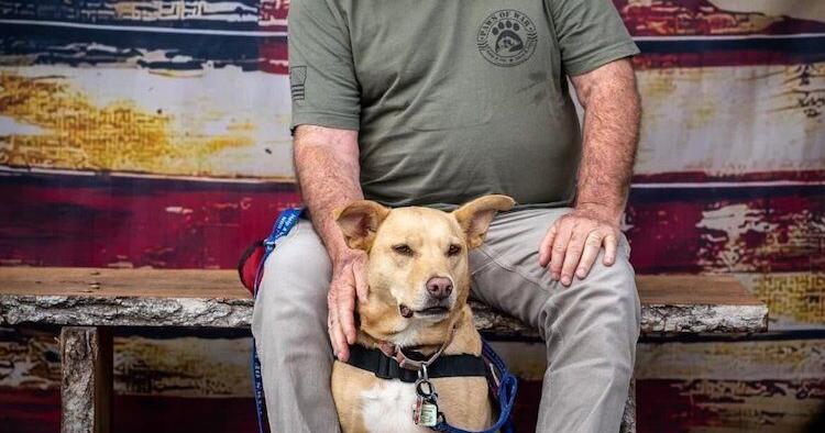 Grant supports Paws of War mission