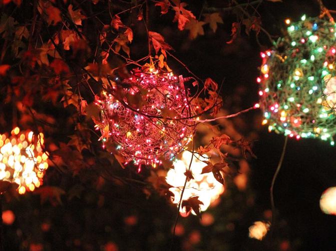 PHOTOS Enchanting Christmas Lights of Canterbury Entertainment