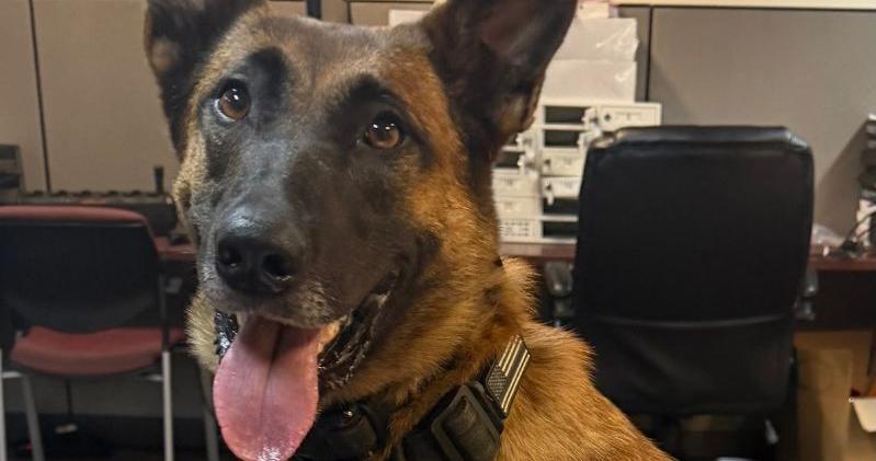 K-9 Tia leads successful drug seizure in Bridgeton