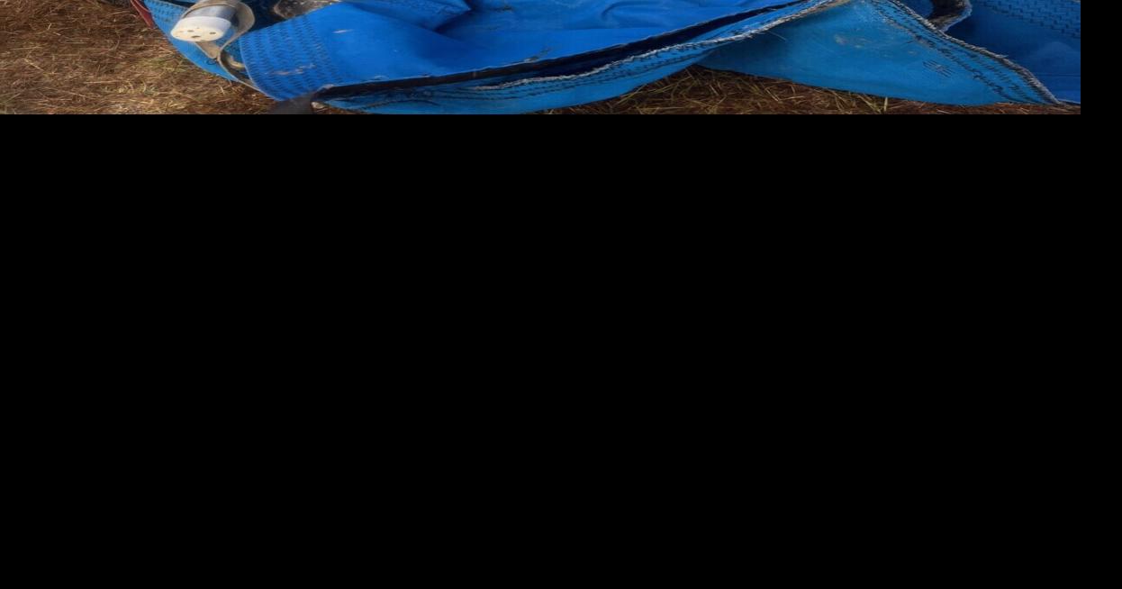 Distressed manatee rescued from Tar River | News | newbernsj.com