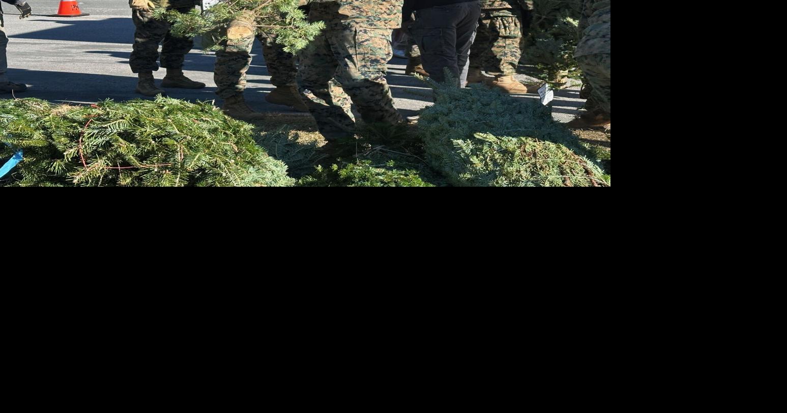Trees for Troops: Hundreds of Christmas trees given to service members ...