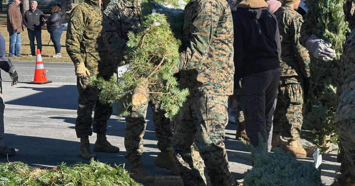 Sergeant Carl Tree Trees for Troops: Hundreds of Christmas trees given to service members ...