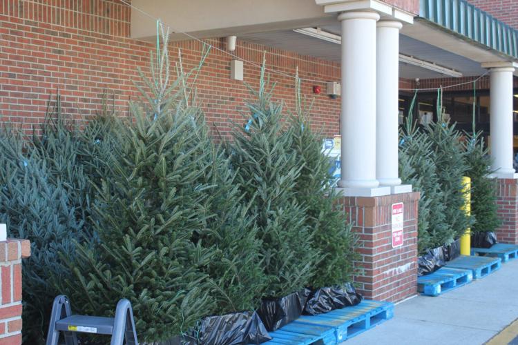 O Christmas Tree, New Bern residents need to buy them early this year