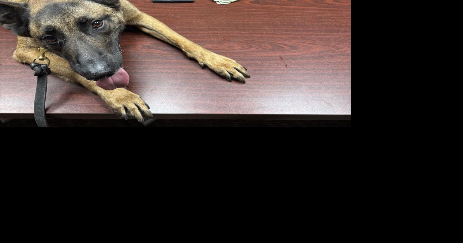Deputies seize 70 grams of drugs during traffic stop | News | newbernsj.com