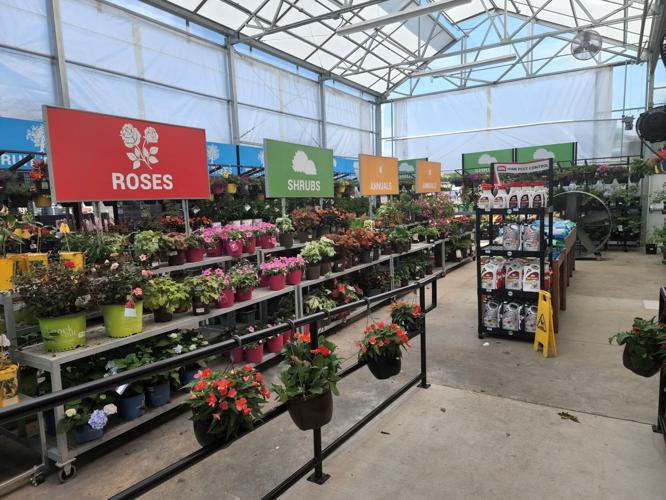 Garden center expansion at New Bern store offers more in