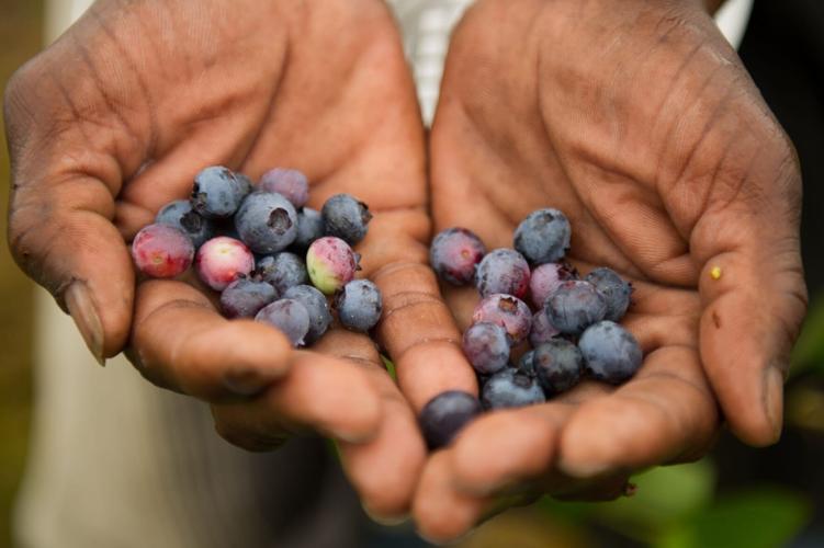 A Sweet Spring Local News