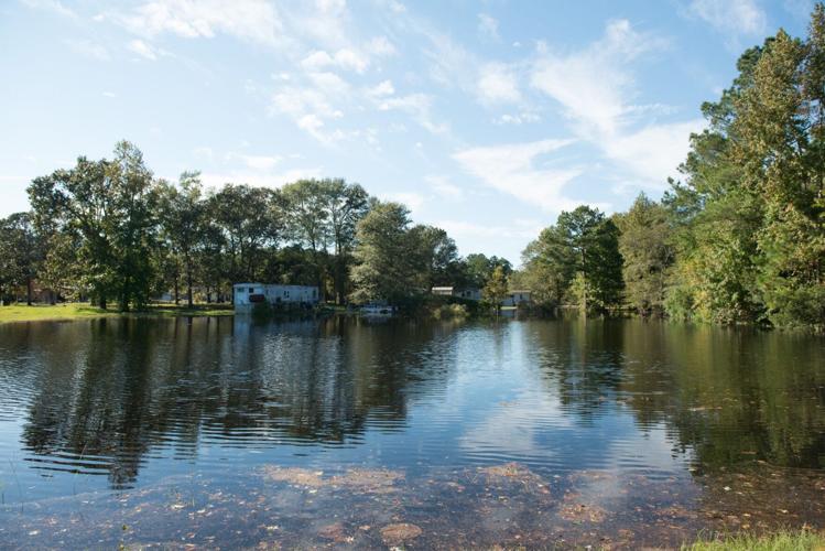Flooding in Vanceboro Local News